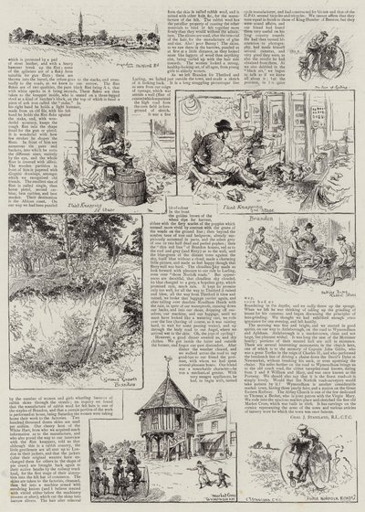 Angoli di Norfolk da Charles J. Staniland